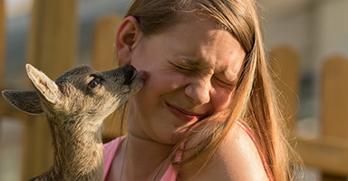 Werner Schmaeing / Germany “Lilli little deer”