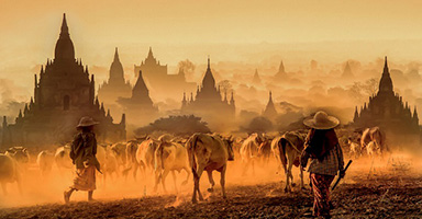 Ya Kuang / China “Secret area in yellow tone”